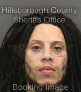 Lewis Sayyid - Hillsborough County, Florida 