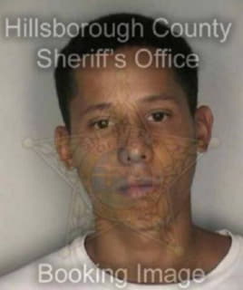 Williams Richard - Hillsborough County, Florida 