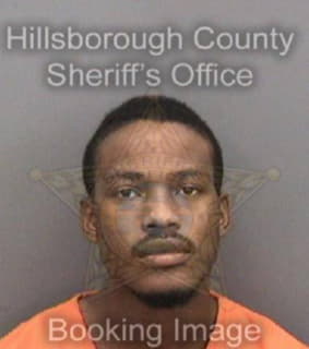 Kirnes Bruce - Hillsborough County, Florida 