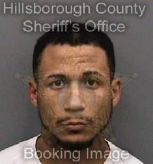 Vega Joshua - Hillsborough County, Florida 