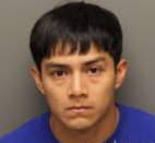 Gonzalez Marvin - Shelby County, Tennessee 