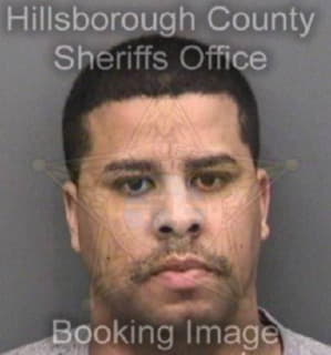 Copo Nelson - Hillsborough County, Florida 