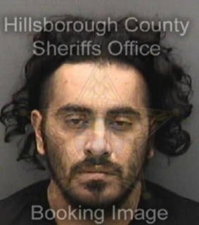 Pineda Alejandro - Hillsborough County, Florida 