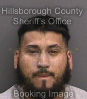 Velez David - Hillsborough County, Florida 