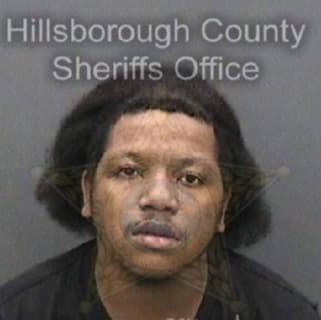 Robinson Malik - Hillsborough County, Florida 