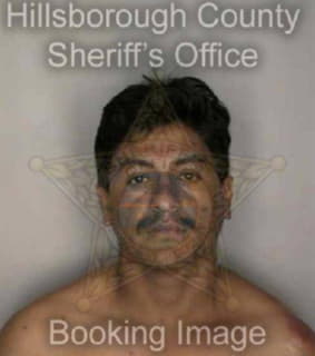 Ramirez Wenceslao - Hillsborough County, Florida 