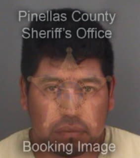 Hernandez Armando - Pinellas County, Florida 