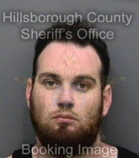 Chapman David - Hillsborough County, Florida 