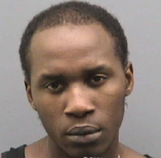 Bradley L - Hillsborough County, Florida 