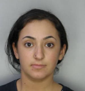 Cohen Michelle - Hillsborough County, Florida 