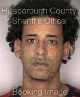 Rodrguez Samuel - Hillsborough County, Florida 