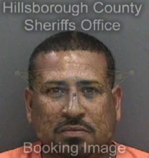 Pena Luis - Hillsborough County, Florida 