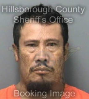 Rosales Telesforo - Hillsborough County, Florida 