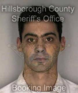 Lobel David - Hillsborough County, Florida 