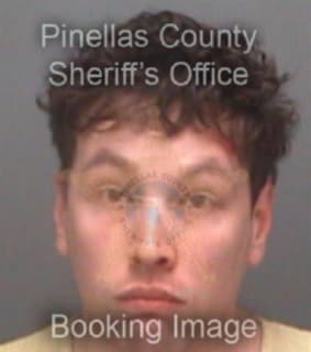 Wayne Justin - Pinellas County, Florida 