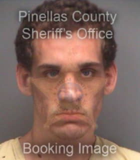 Heyder Kenneth - Pinellas County, Florida 