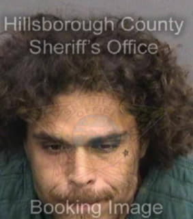 Martinez Moises - Hillsborough County, Florida 