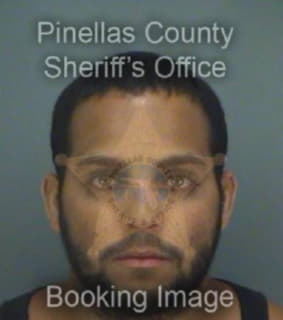 Henriquez Giovanni - Pinellas County, Florida 