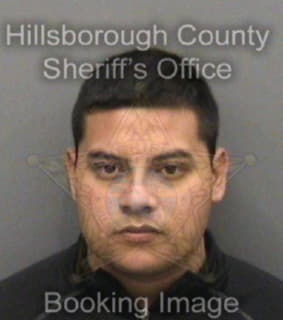 Ramirezrojas Guillermo - Hillsborough County, Florida 