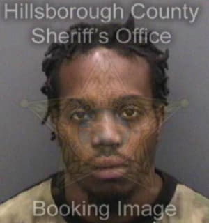 Johnson Henry - Hillsborough County, Florida 