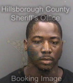 Collins Nathaniel - Hillsborough County, Florida 