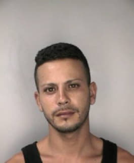 Ramos Luis - Hillsborough County, Florida 