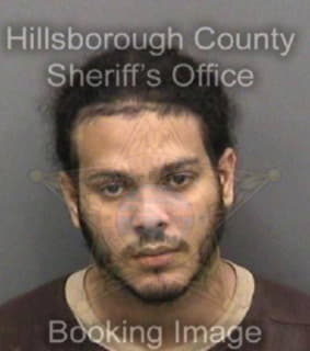 Ortiz David - Hillsborough County, Florida 