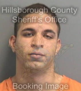 Rodriguezsuarez Jose - Hillsborough County, Florida 