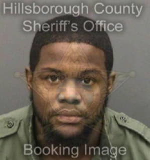 Monroe Kristopher - Hillsborough County, Florida 