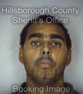 Phillips Matthew - Hillsborough County, Florida 