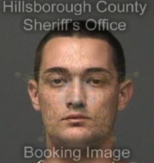 Wegmanmcgarr Taylor - Hillsborough County, Florida 