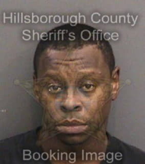 Alexander Hassan - Hillsborough County, Florida 