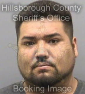 Velasquez Jose - Hillsborough County, Florida 