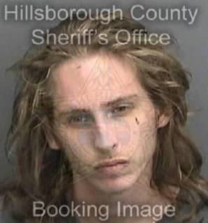 Alessandrini Michael - Hillsborough County, Florida 