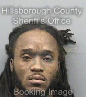 Levison Reginald - Hillsborough County, Florida 