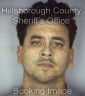 Diaz Carlo - Hillsborough County, Florida 