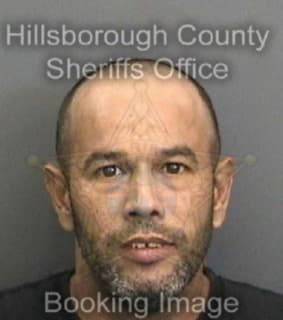 Flores Fabian - Hillsborough County, Florida 