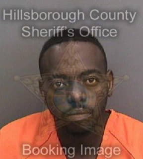 Brandon Roosevelt - Hillsborough County, Florida 