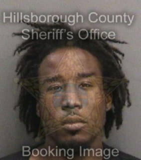 Lewis Michael - Hillsborough County, Florida 