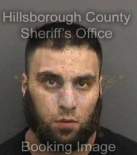 Aldabesheh Samer - Hillsborough County, Florida 