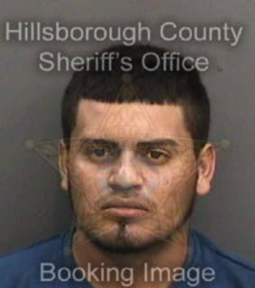 Mayorgamorales Andy - Hillsborough County, Florida 