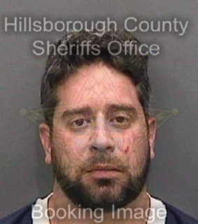 Alvarez David - Hillsborough County, Florida 