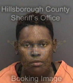 Johnson Franchon - Hillsborough County, Florida 