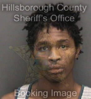 Anderson Jaquan - Hillsborough County, Florida 