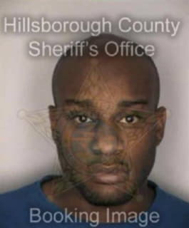 Ross Lamar - Hillsborough County, Florida 