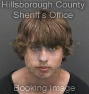 Collins Michael - Hillsborough County, Florida 