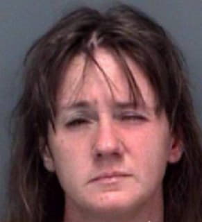 Holmes Renee - Pinellas County, Florida 