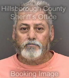 Alvarez Andres - Hillsborough County, Florida 