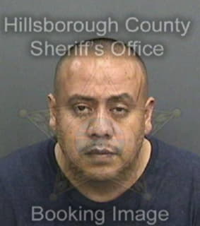 Leonbustamante Andres - Hillsborough County, Florida 