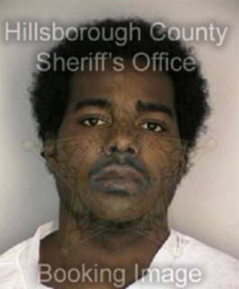 Leggett James - Hillsborough County, Florida 